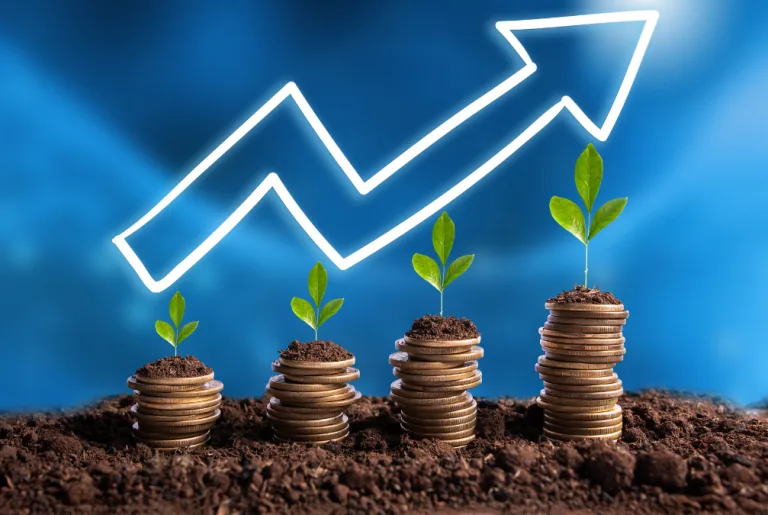 CEO branding ROI blog image