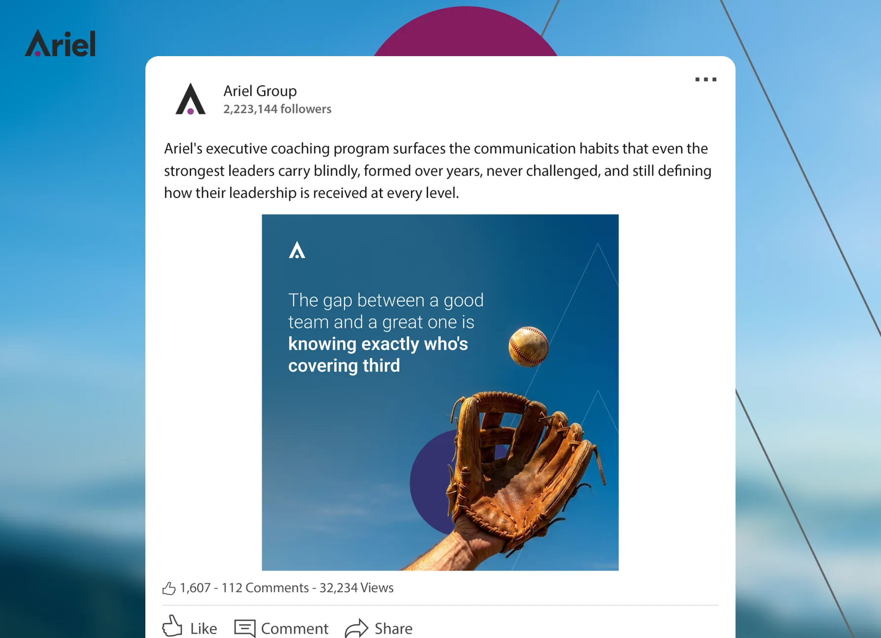 Ariel Group LinkedIn case study